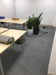 Thảm nỉ trơn trải văn phòng giá rẻ